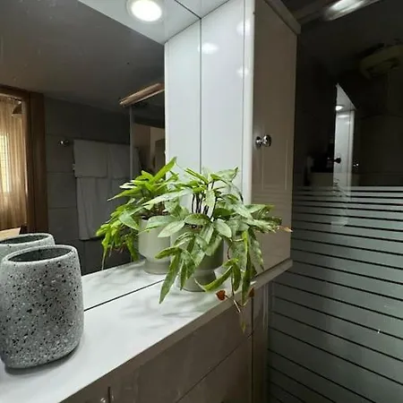 Stella's House